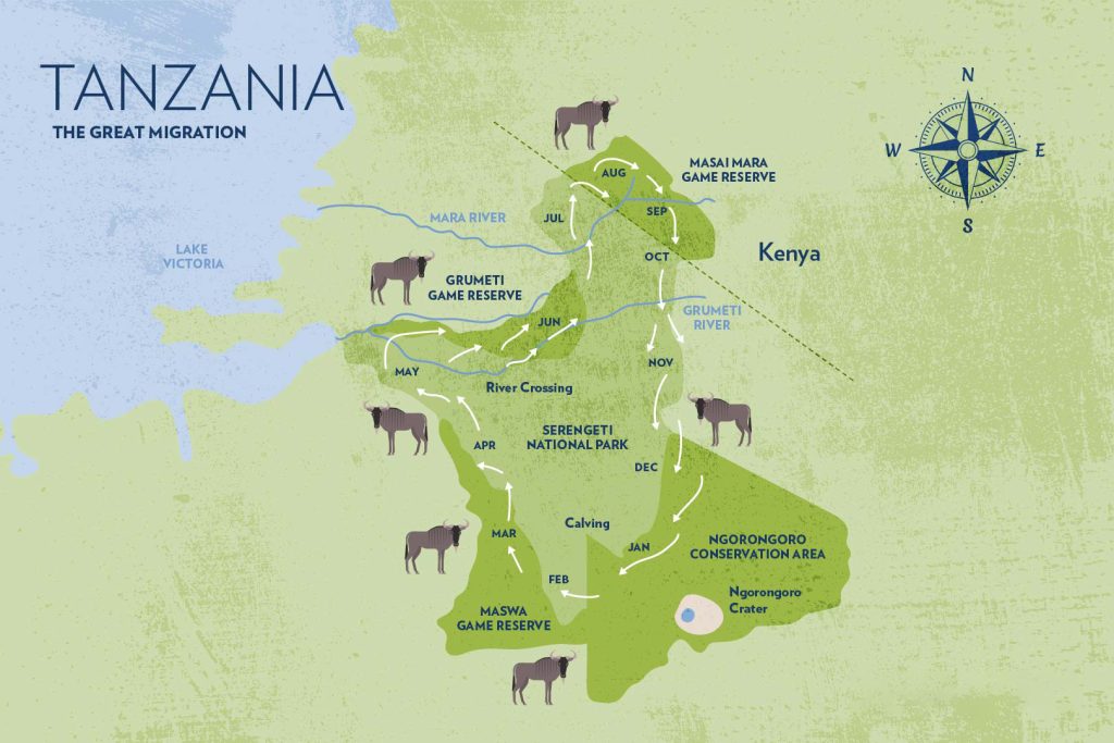 Great Wildebeest Migration Map